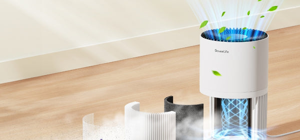 An Overview of Air Purifiers and Mold featuring the GoveeLife Smart Air Purifier